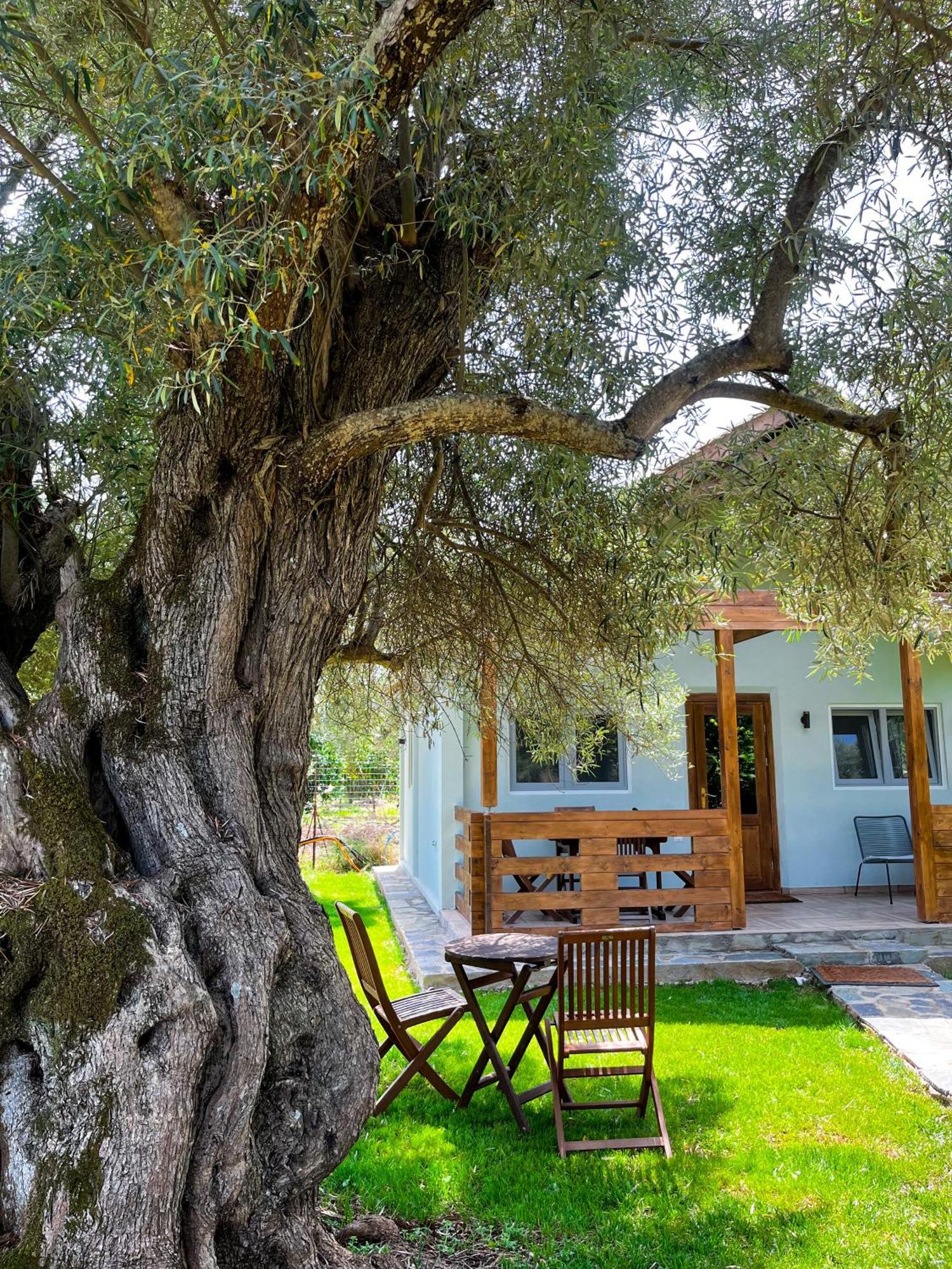 Elleria's House Apartment Frinion